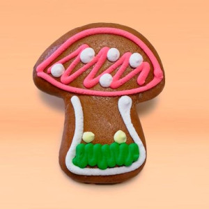 Pfefferkuchen – Fliegenpilz