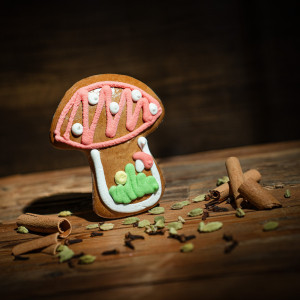 Pfefferkuchen – Fliegenpilz